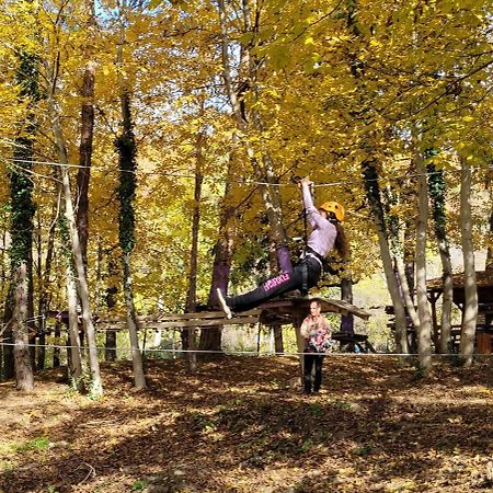 Vila Teoharie Окнеле Мари Екстериор снимка